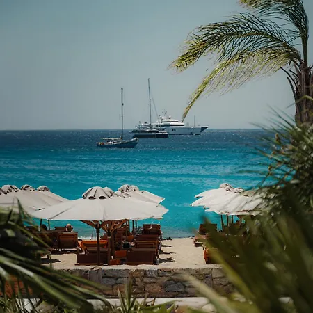 ホテル Branco Mykonos 5*